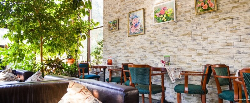 Гостиница Крона Бердск-170