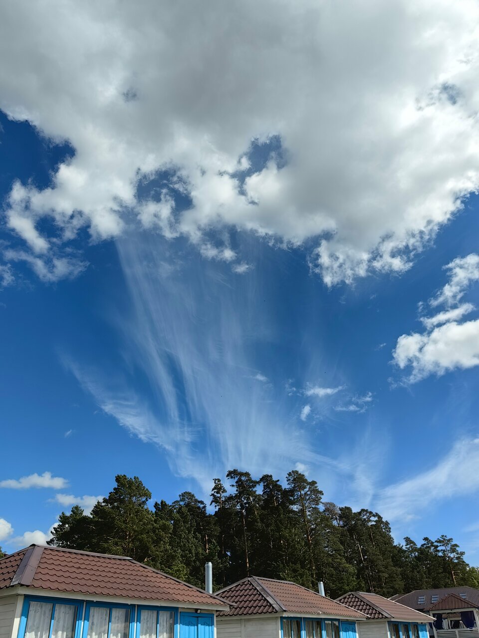 Гостиница Крона Бердск-204