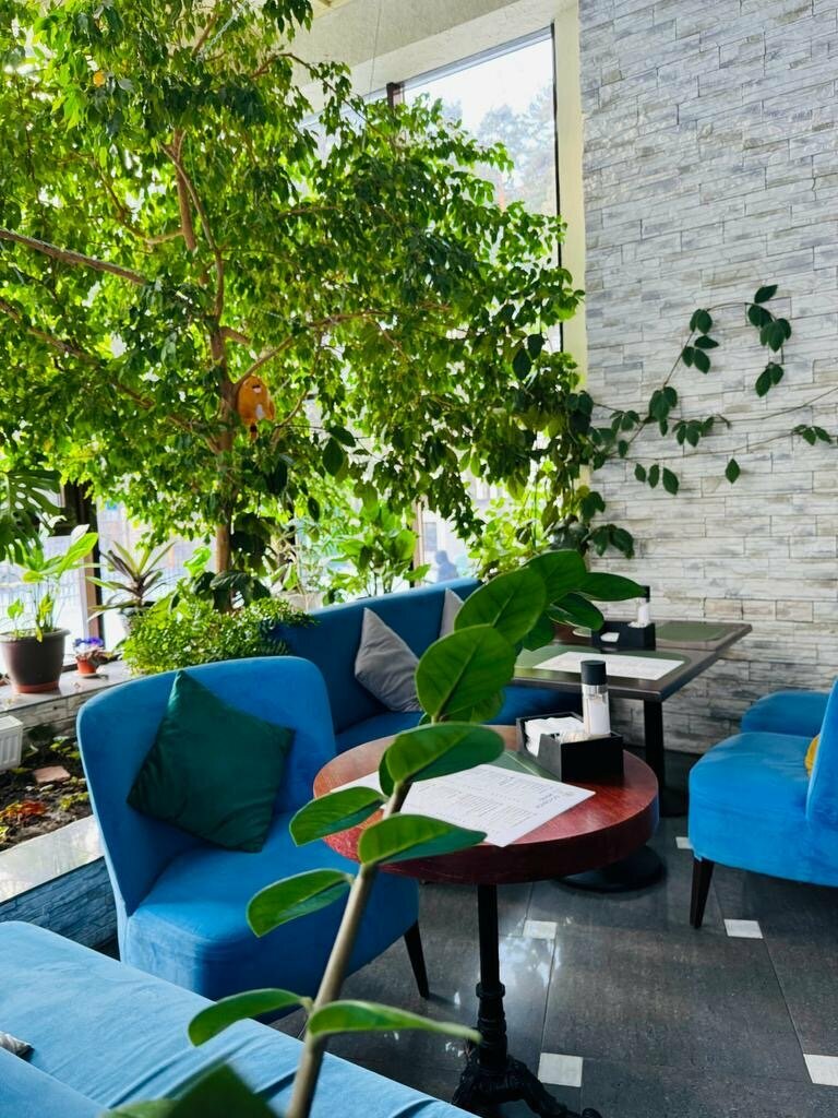 Гостиница Крона Бердск-58