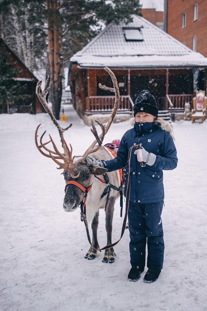Гостиница Крона Бердск-135