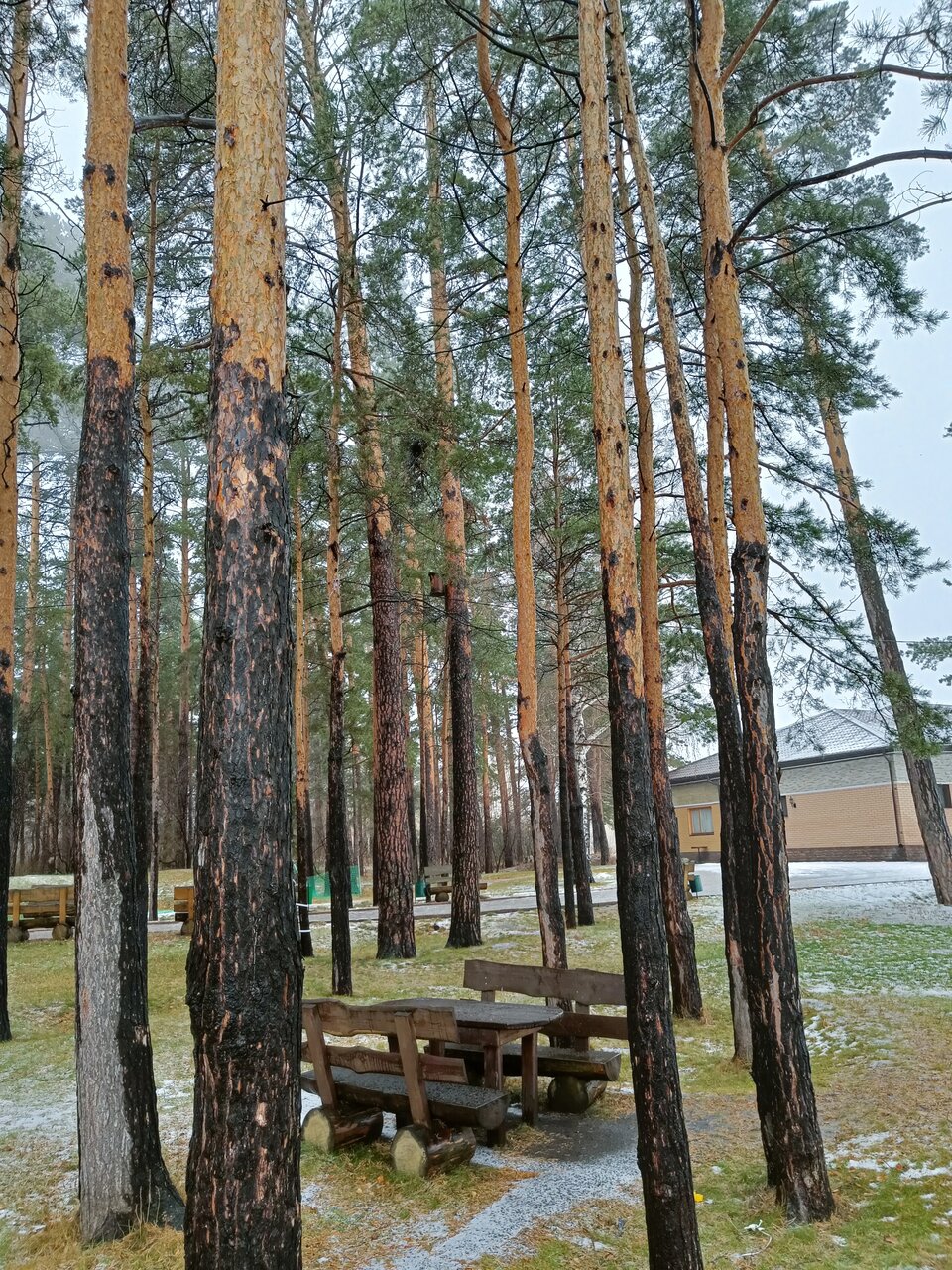 Гостиница Крона Бердск-108