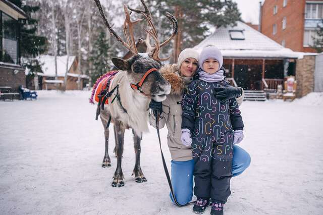 Гостиница Крона Бердск-63