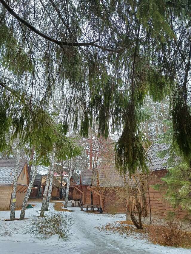 Гостиница Крона Бердск-129